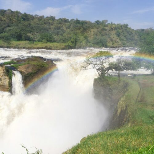 Murchison Falls Safari Uganda